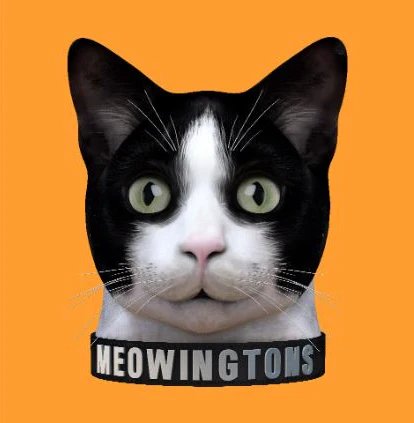 Orange Meowington - Image 2